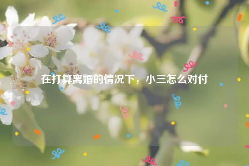 在打算离婚的情况下，小三怎么对付