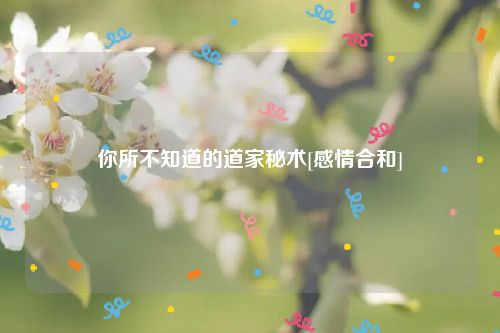 你所不知道的道家秘术[感情合和]