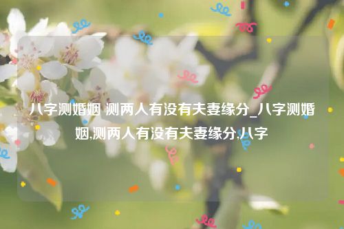 八字测婚姻 测两人有没有夫妻缘分_八字测婚姻,测两人有没有夫妻缘分,八字