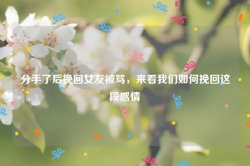 分手了后挽回女友被骂，来看我们如何挽回这段感情