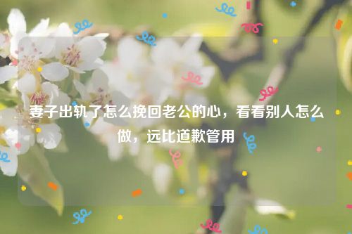 妻子出轨了怎么挽回老公的心，看看别人怎么做，远比道歉管用