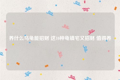 养什么乌龟能招财 这10种龟镇宅又招财 值得养