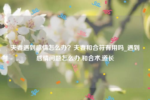 夫妻遇到感情怎么办？夫妻和合符有用吗_遇到感情问题怎么办,和合术,道长