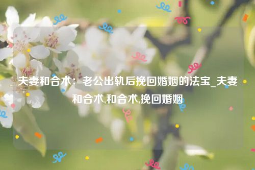 夫妻和合术：老公出轨后挽回婚姻的法宝_夫妻和合术,和合术,挽回婚姻