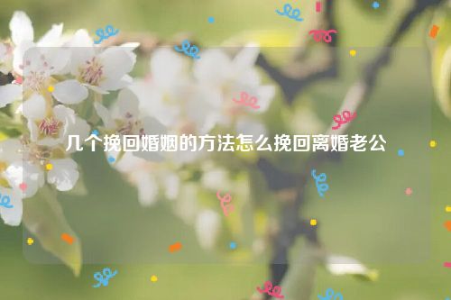 几个挽回婚姻的方法怎么挽回离婚老公