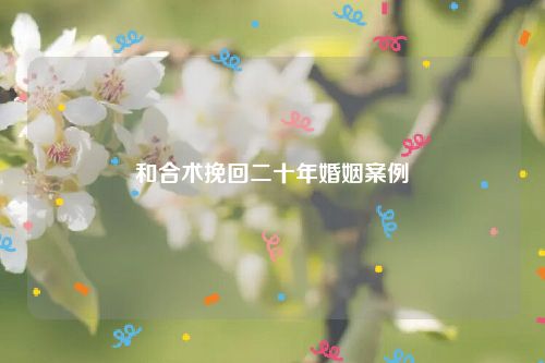 和合术挽回二十年婚姻案例