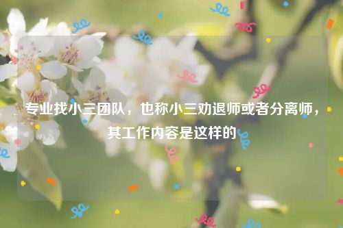 专业找小三团队，也称小三劝退师或者分离师，其工作内容是这样的