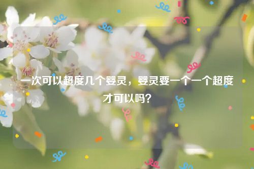 一次可以超度几个婴灵，婴灵要一个一个超度才可以吗？