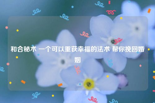 和合秘术 一个可以重获幸福的法术 帮你挽回婚姻
