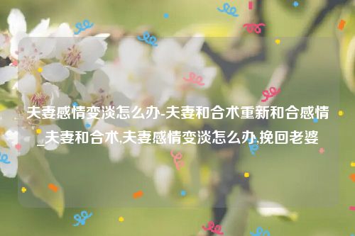 夫妻感情变淡怎么办-夫妻和合术重新和合感情_夫妻和合术,夫妻感情变淡怎么办,挽回老婆