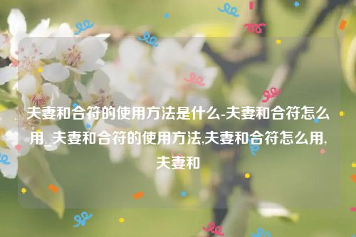 夫妻和合符的使用方法是什么-夫妻和合符怎么用_夫妻和合符的使用方法,夫妻和合符怎么用,夫妻和
